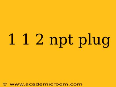 1 1 2 npt plug