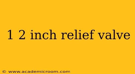 1 2 inch relief valve