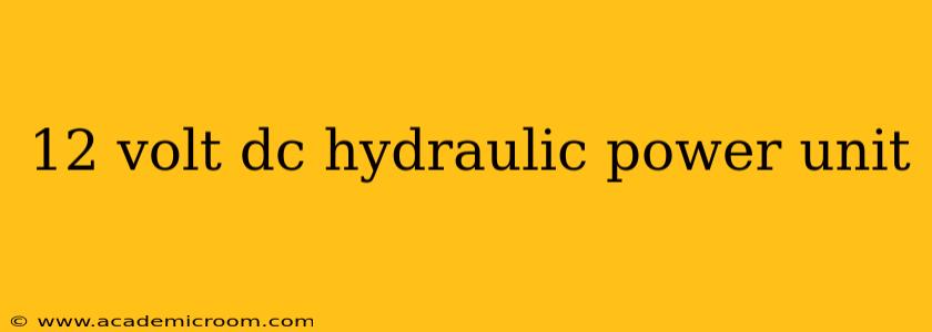 12 volt dc hydraulic power unit