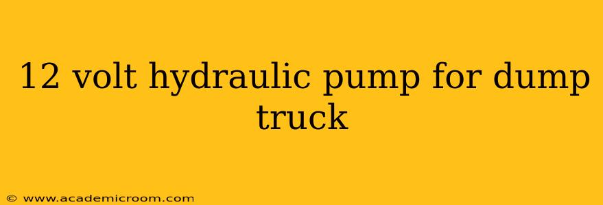 12 volt hydraulic pump for dump truck