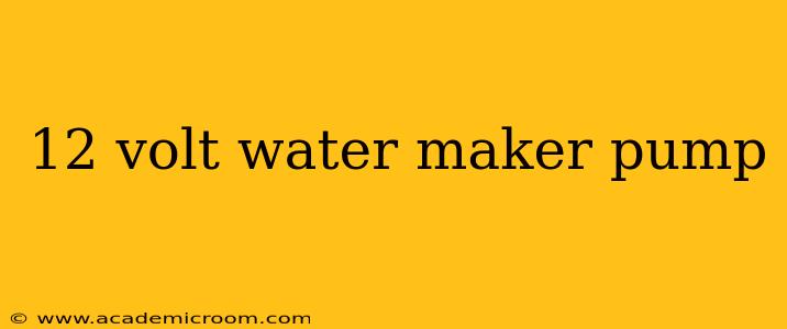 12 volt water maker pump