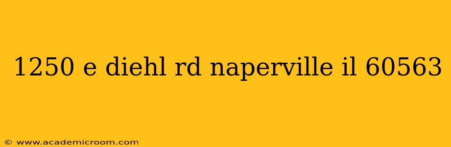 1250 e diehl rd naperville il 60563