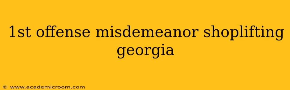 1st offense misdemeanor shoplifting georgia