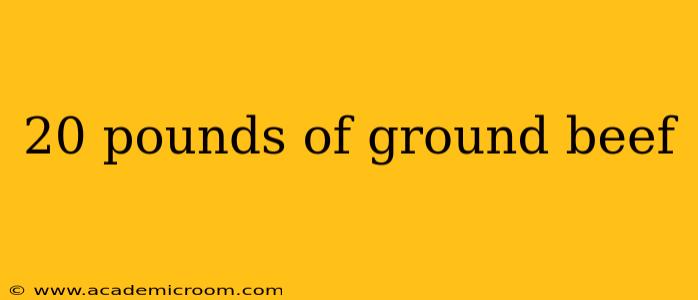 20 pounds of ground beef