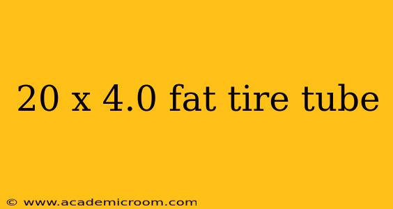 20 x 4.0 fat tire tube