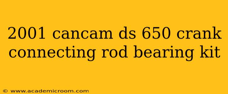 2001 cancam ds 650 crank connecting rod bearing kit