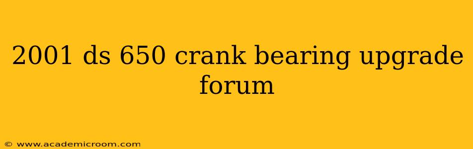2001 ds 650 crank bearing upgrade forum