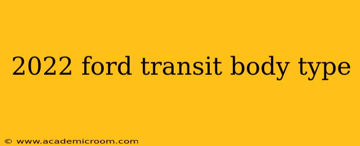 2022 ford transit body type