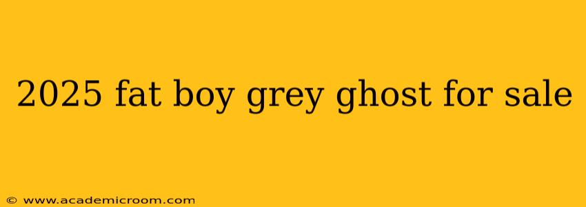 2025 fat boy grey ghost for sale