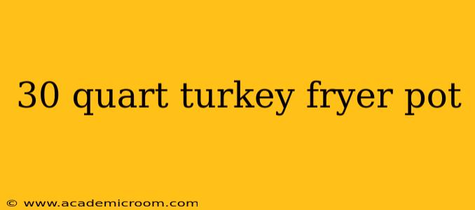 30 quart turkey fryer pot