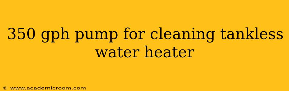 350 gph pump for cleaning tankless water heater