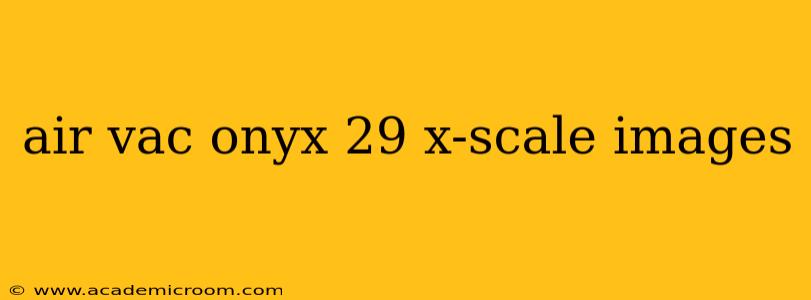 air vac onyx 29 x-scale images