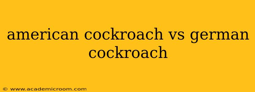 american cockroach vs german cockroach