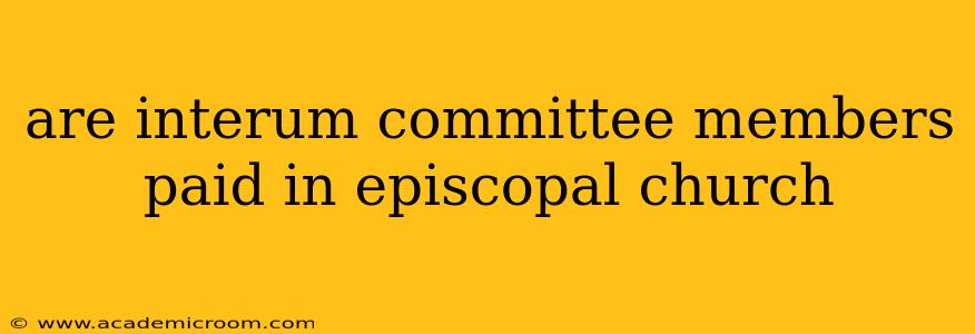 are interum committee members paid in episcopal church