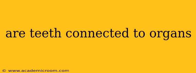 are teeth connected to organs