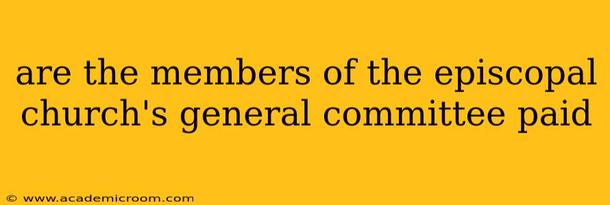 are the members of the episcopal church's general committee paid