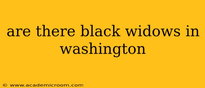 are there black widows in washington