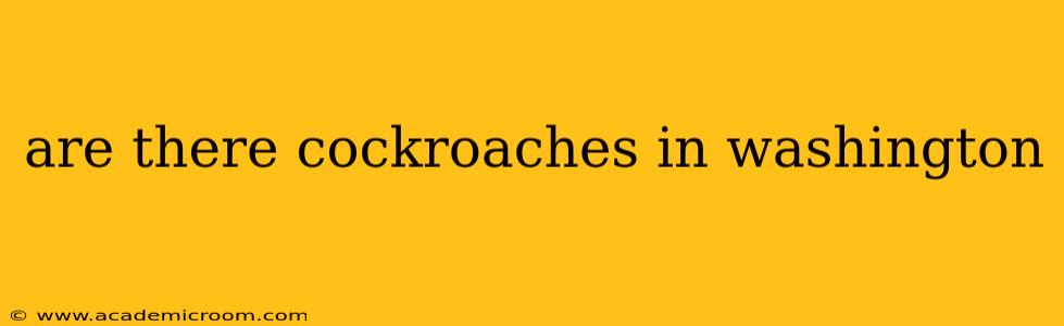 are there cockroaches in washington