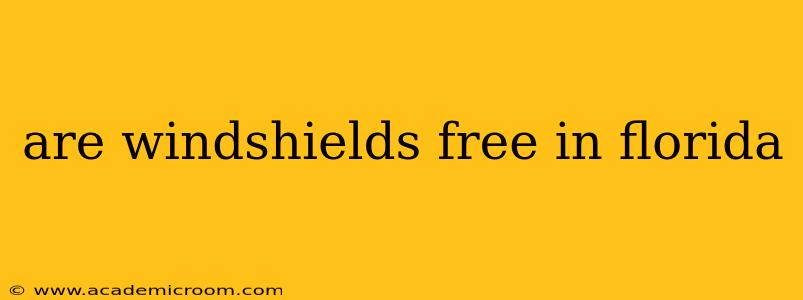 are windshields free in florida