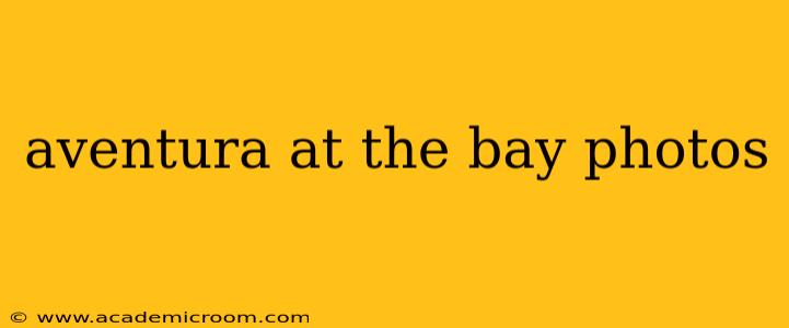 aventura at the bay photos