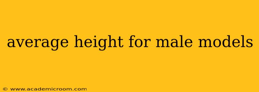 average height for male models