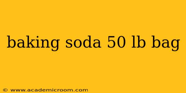 baking soda 50 lb bag