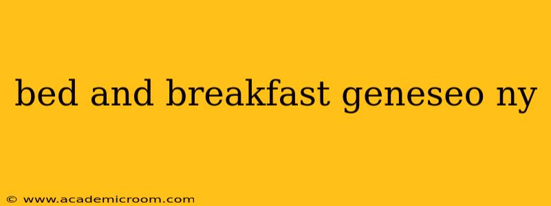 bed and breakfast geneseo ny