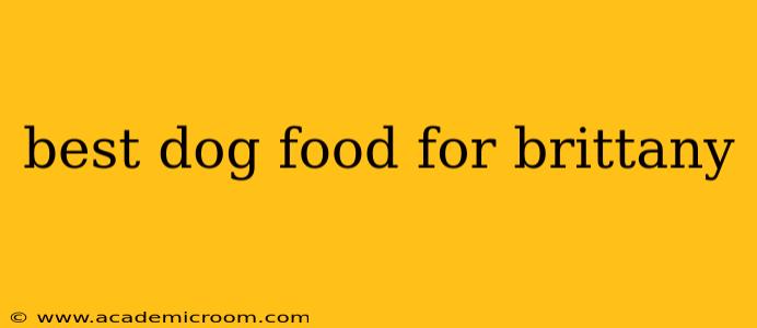 best dog food for brittany