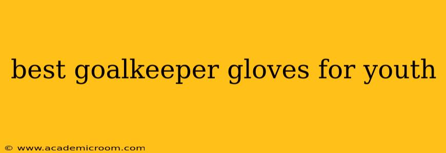 best goalkeeper gloves for youth