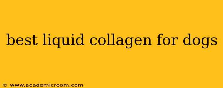 best liquid collagen for dogs