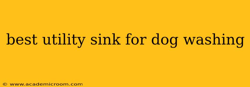 best utility sink for dog washing