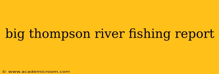 big thompson river fishing report
