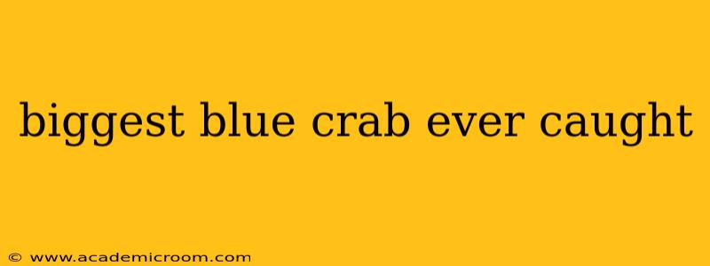 biggest blue crab ever caught