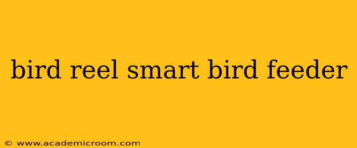 bird reel smart bird feeder