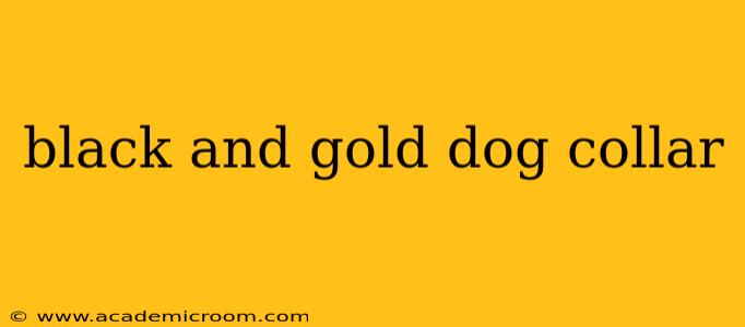 black and gold dog collar