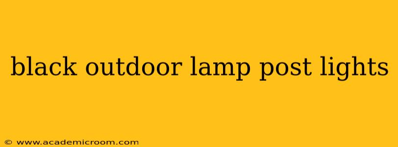 black outdoor lamp post lights