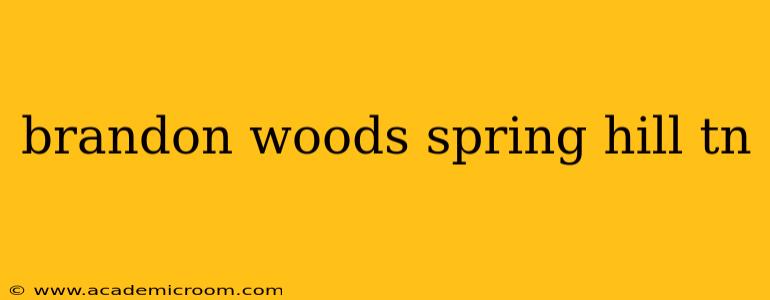 brandon woods spring hill tn