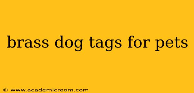 brass dog tags for pets