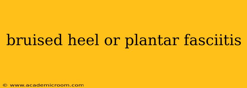 bruised heel or plantar fasciitis