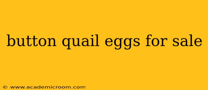 button quail eggs for sale