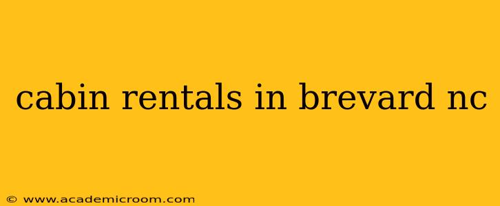 cabin rentals in brevard nc