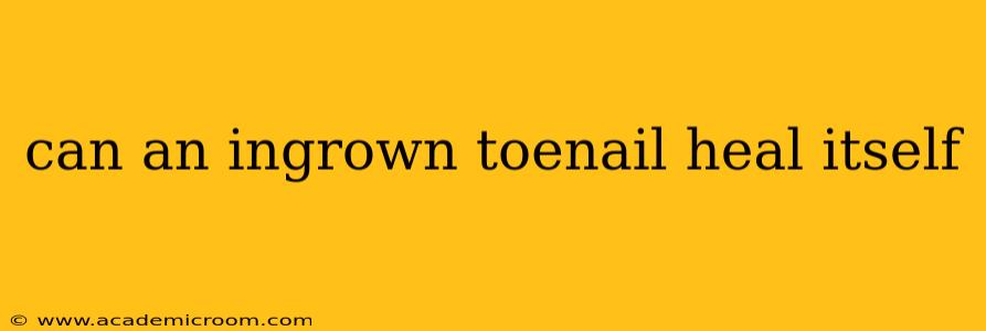 can an ingrown toenail heal itself