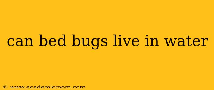 can bed bugs live in water