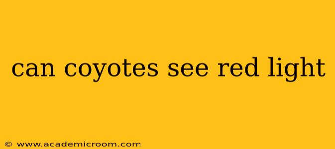 can coyotes see red light