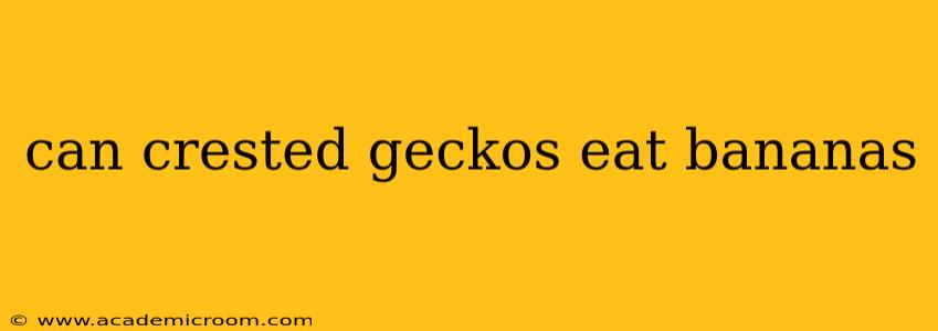 can crested geckos eat bananas