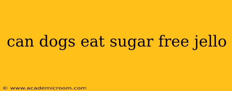 can dogs eat sugar free jello
