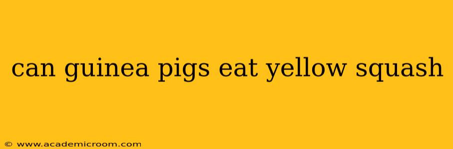 can guinea pigs eat yellow squash