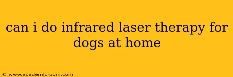 can i do infrared laser therapy for dogs at home