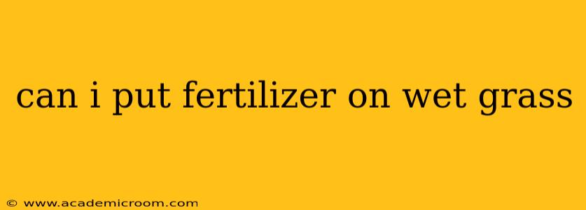 can i put fertilizer on wet grass