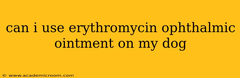can i use erythromycin ophthalmic ointment on my dog